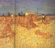 Vincent Van Gogh Harvest in Provence (nn04) oil